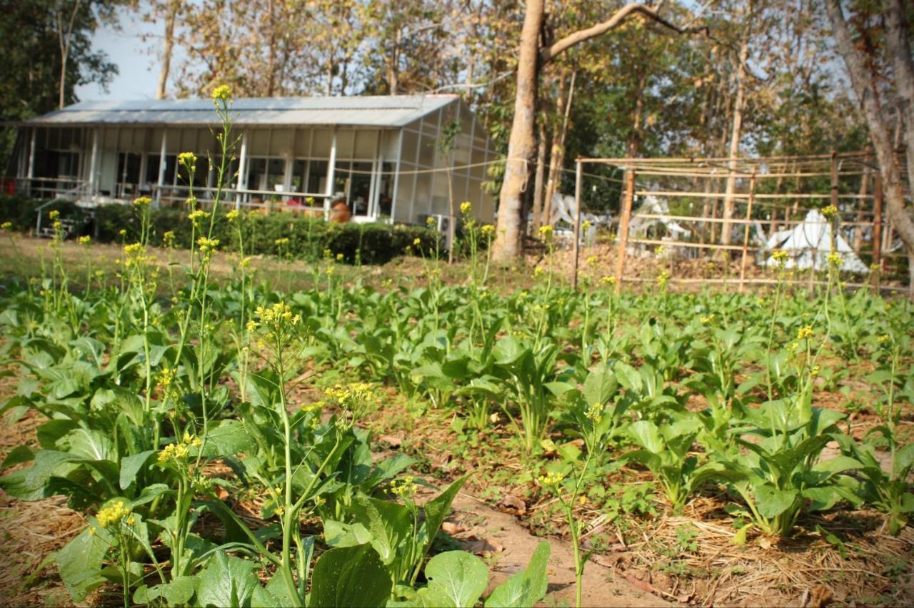 Sappraiwan Elephant Resort & Sanctuary Kaengsopha Екстер'єр фото